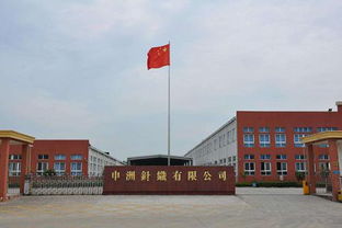 申洲國際半年業(yè)績增收10.8%，生產(chǎn)效率提升成關鍵驅(qū)動力，運動類產(chǎn)品銷售額占67.9%